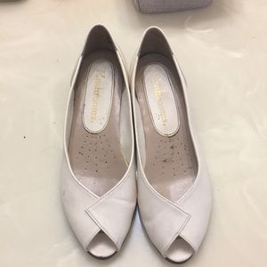 Vintage Mushrooms Wedges